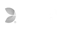 evolution